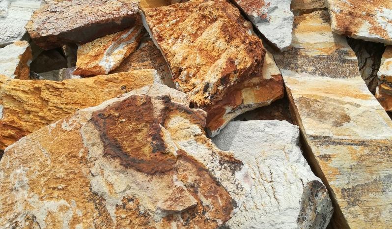 Skalūnas "Rūdys"